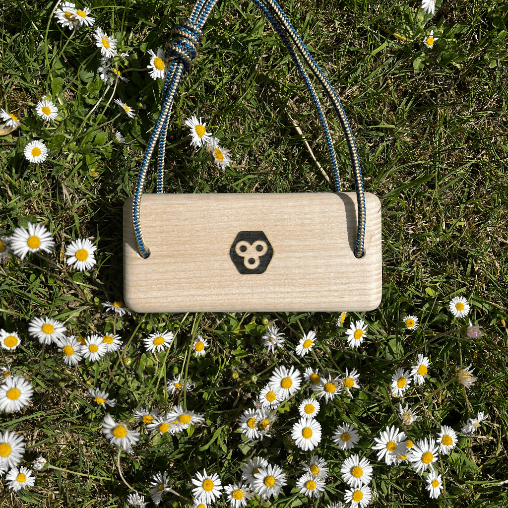 Micro Portable Hangboard - Ash
