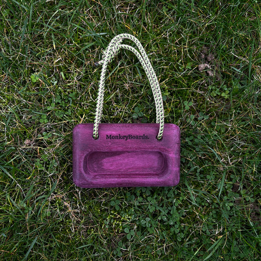 Kevin - The Mini Portable Hangboard - Purple Heart