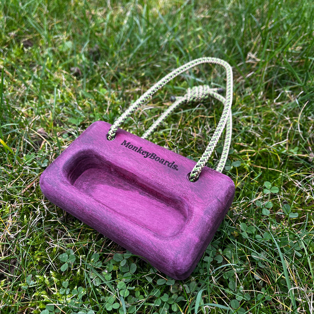 Kevin - The Mini Portable Hangboard - Purple Heart
