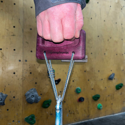 Kevin - The Mini Portable Hangboard - Purple Heart