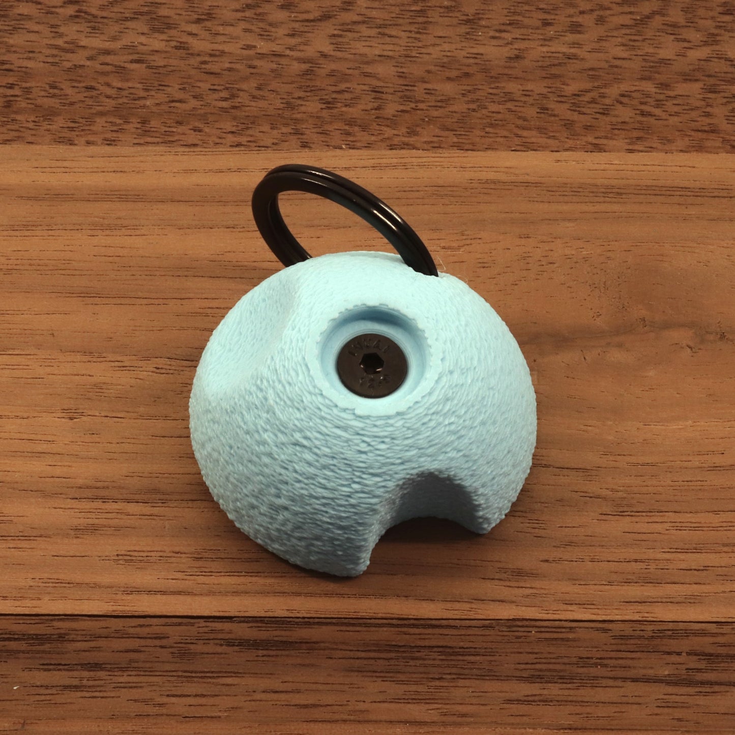 Mini Climbing Hold Keyring